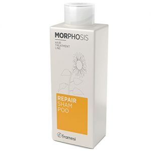 Framesi Morphosis Repair Shampoo, 8.4 Ounce 프라메시Framesi