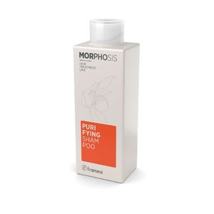 Framesi Morphosis Purifying Shampoo, 8.45 Ounce / 250ml 프라메시 이태리 비듬샴푸Framesi