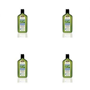 (4 PACK) - Avalon Peppermint Revitalizing Shampoo | 325ml | 4 PACK - SUPER SAVER - SAVE MONEYAvalon